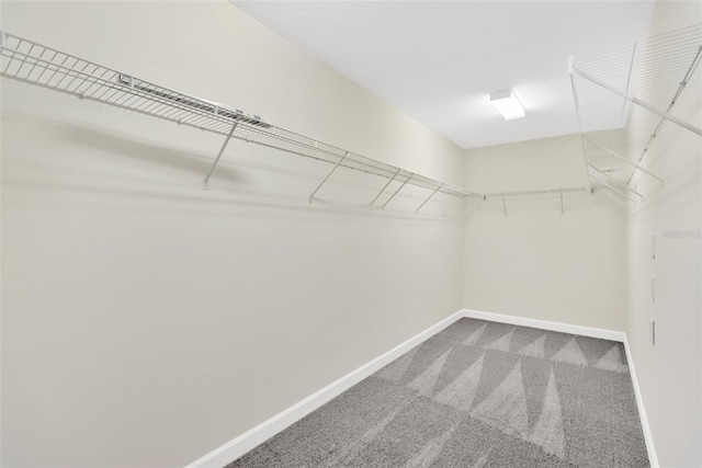 10004 Celtic Ash Dr, Ruskin, FL 33573 - photo 32