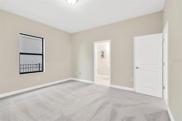 10004 Celtic Ash Dr, Ruskin, FL 33573 - photo 36
