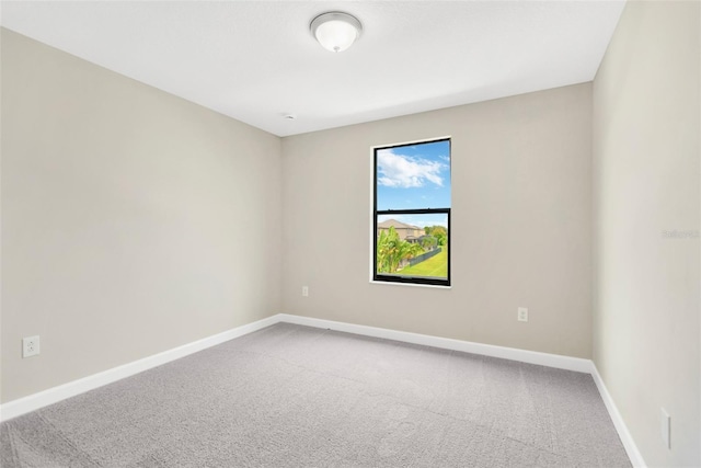 10004 Celtic Ash Dr, Ruskin, FL 33573 - photo 37