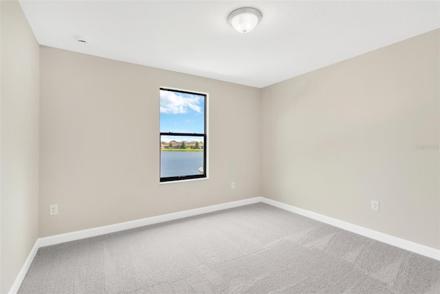 10004 Celtic Ash Dr, Ruskin, FL 33573 - photo 39