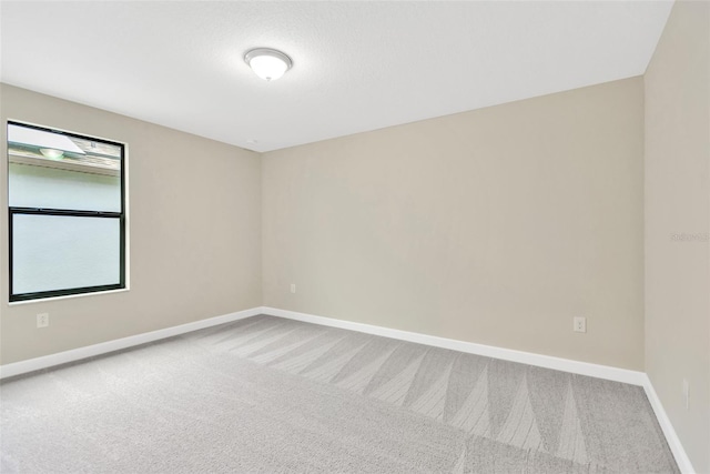 10004 Celtic Ash Dr, Ruskin, FL 33573 - photo 43