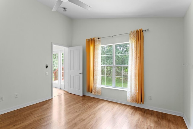 10420 Springrose, Tampa, FL 33626 - photo 25