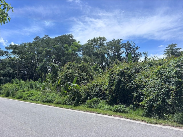 1606 11th St, Orlando, FL 32824 - photo 3