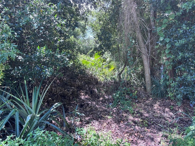 1606 11th St, Orlando, FL 32824 - photo 4