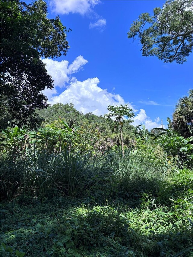 1606 11th St, Orlando, FL 32824 - photo 5