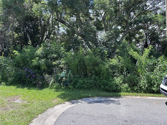 1606 11th St, Orlando, FL 32824 - photo 14