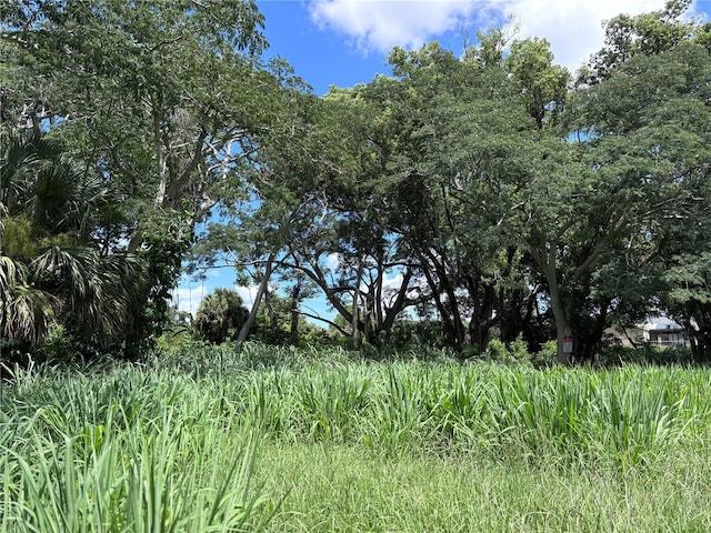1606 11th St, Orlando, FL 32824 - photo 15