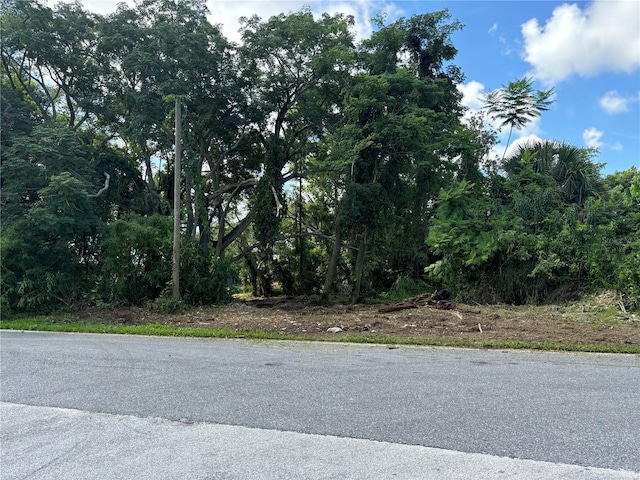 1606 11th St, Orlando, FL 32824 - photo 17