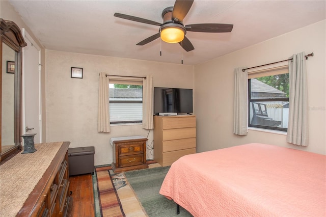 4611 41st Ave N, Saint Petersburg, FL 33714 - photo 10