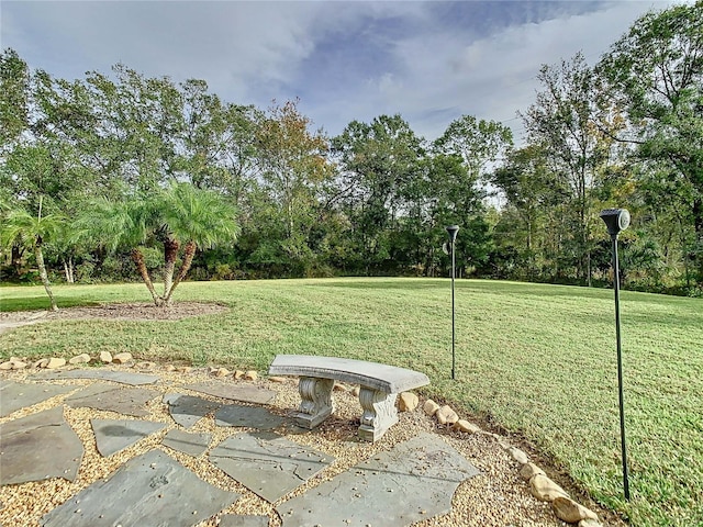 2841 Banyan Hill Ln, Land O Lakes, FL 34639 - photo 4