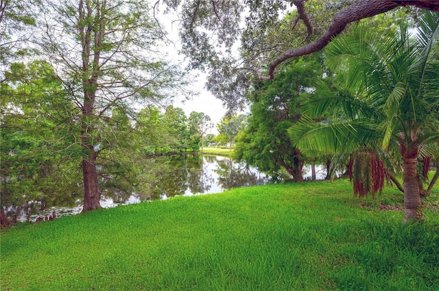 10346 Abbotsford Dr, Tampa, FL 33626 - photo 5