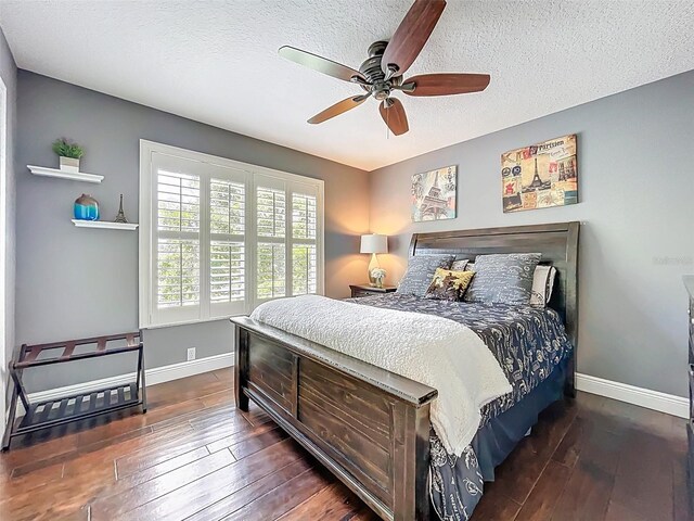 18142 Regents Square Dr, Tampa, FL 33647 - photo 54