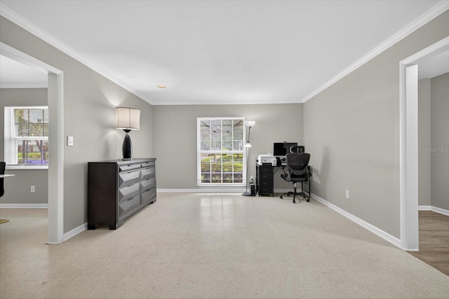 2541 Lake Ellen Cir, Tampa, FL 33618 - photo 19