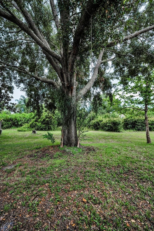 7846 Royal Hart Dr, New Port Richey, FL 34653 - photo 41