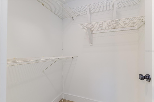 13862 Tern Ln, Clearwater, FL 33762 - photo 21