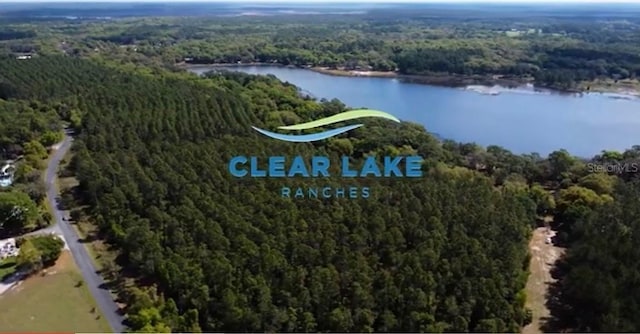 7431 SE 170th Avenue Rd, Ocklawaha, FL 32179 - photo 3