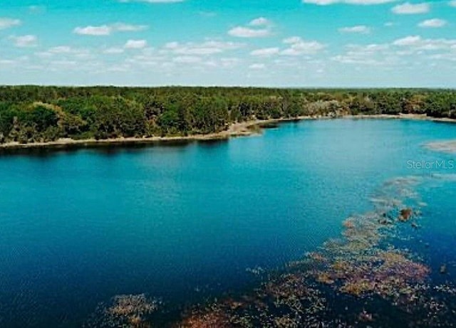 7431 SE 170th Avenue Rd, Ocklawaha, FL 32179 - photo 4