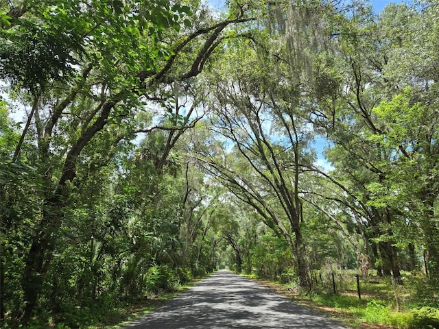 7431 SE 170th Avenue Rd, Ocklawaha, FL 32179 - photo 5