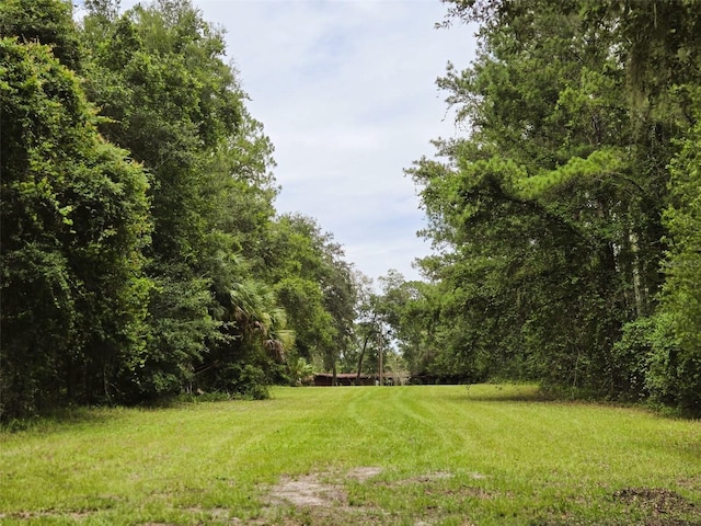 7431 SE 170th Avenue Rd, Ocklawaha, FL 32179 - photo 6