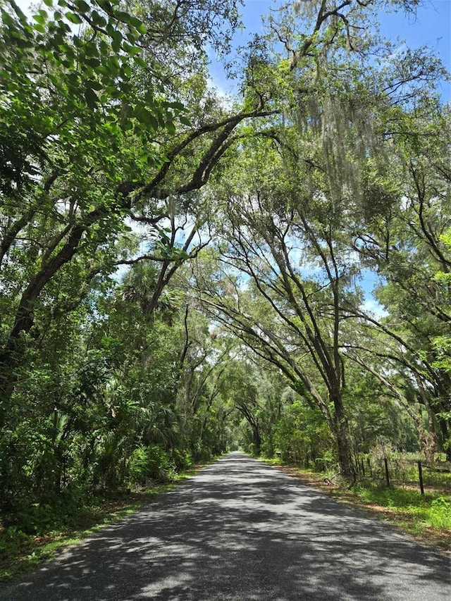 7431 SE 170th Avenue Rd, Ocklawaha, FL 32179 - photo 8