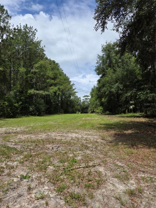 7431 SE 170th Avenue Rd, Ocklawaha, FL 32179 - photo 17