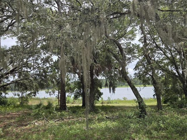 7431 SE 170th Avenue Rd, Ocklawaha, FL 32179 - photo 18