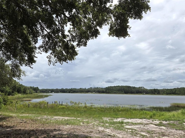 7431 SE 170th Avenue Rd, Ocklawaha, FL 32179 - photo 19