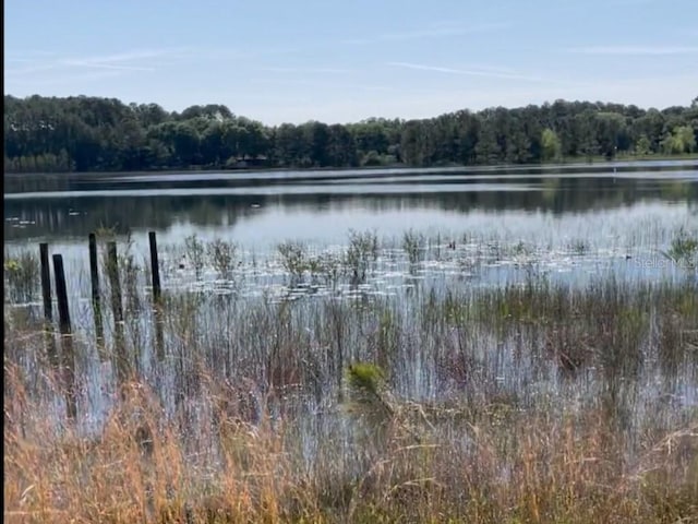 7431 SE 170th Avenue Rd, Ocklawaha, FL 32179 - photo 20