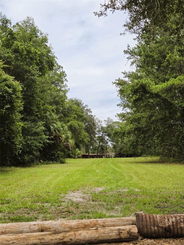 7431 SE 170th Avenue Rd, Ocklawaha, FL 32179 - photo 21