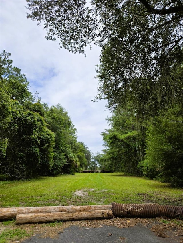 7431 SE 170th Avenue Rd, Ocklawaha, FL 32179 - photo 22