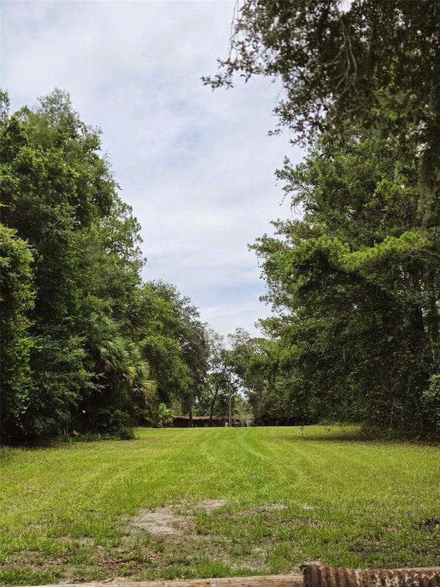 7431 SE 170th Avenue Rd, Ocklawaha, FL 32179 - photo 23