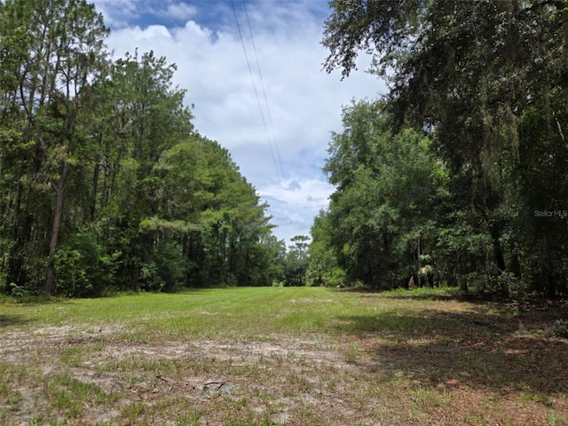 7431 SE 170th Avenue Rd, Ocklawaha, FL 32179 - photo 24