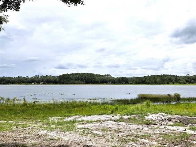 7431 SE 170th Avenue Rd, Ocklawaha, FL 32179 - photo 25