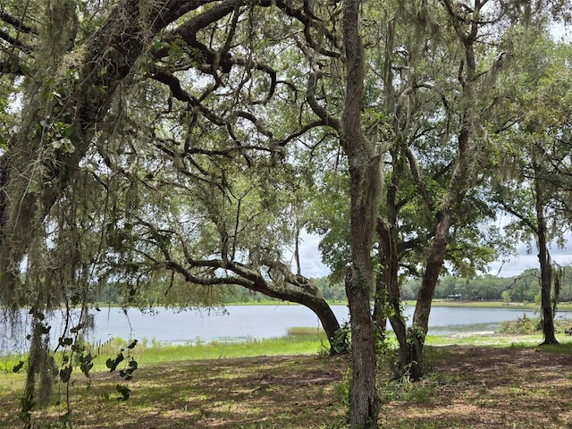7431 SE 170th Avenue Rd, Ocklawaha, FL 32179 - photo 26