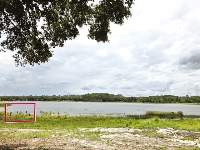7431 SE 170th Avenue Rd, Ocklawaha, FL 32179 - photo 27