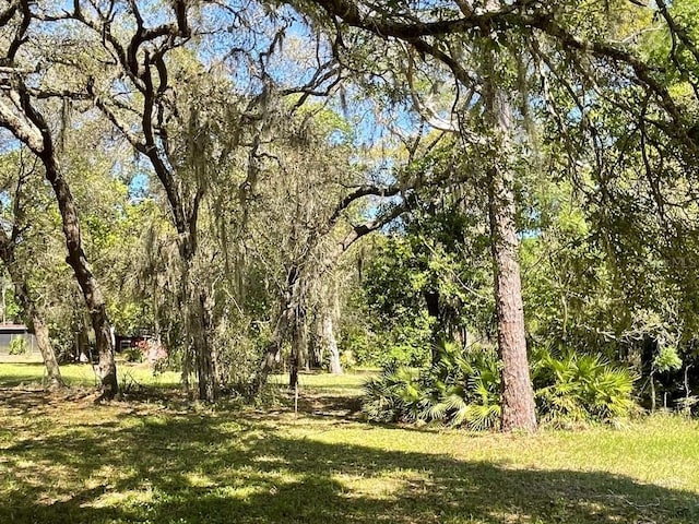 7431 SE 170th Avenue Rd, Ocklawaha, FL 32179 - photo 29