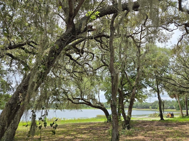 7431 SE 170th Avenue Rd, Ocklawaha, FL 32179 - photo 30