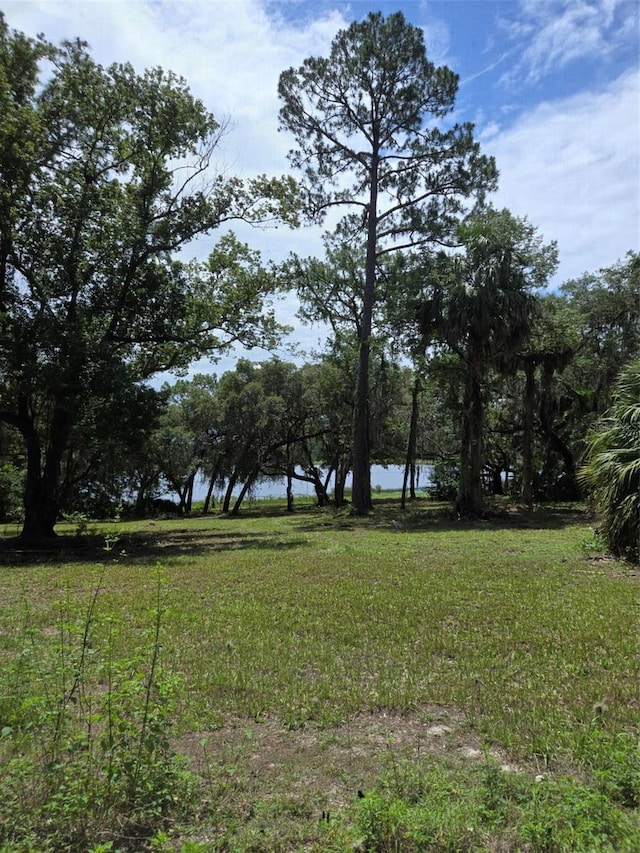 7431 SE 170th Avenue Rd, Ocklawaha, FL 32179 - photo 31