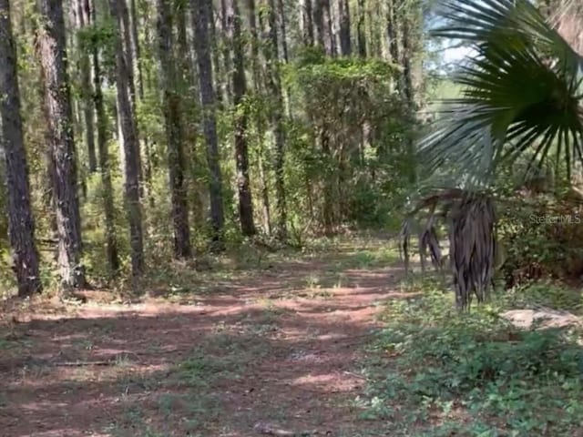 7431 SE 170th Avenue Rd, Ocklawaha, FL 32179 - photo 33