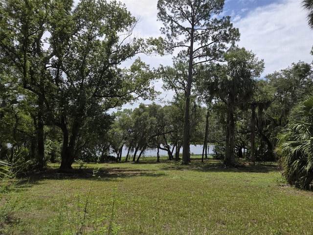 7431 SE 170th Avenue Rd, Ocklawaha, FL 32179 - photo 36