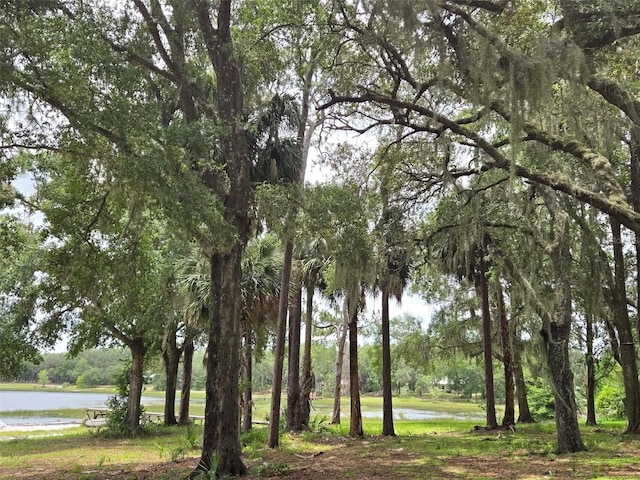 7431 SE 170th Avenue Rd, Ocklawaha, FL 32179 - photo 37
