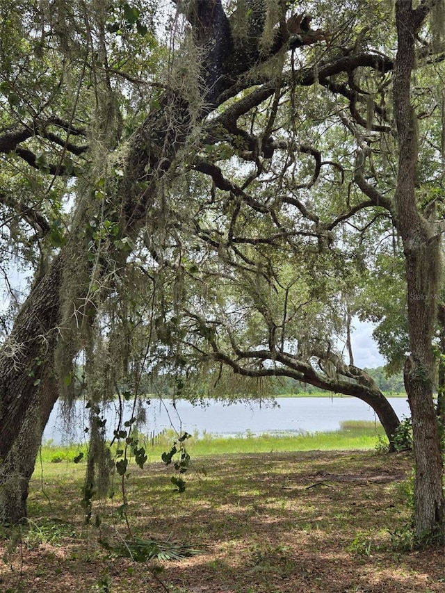 7431 SE 170th Avenue Rd, Ocklawaha, FL 32179 - photo 38