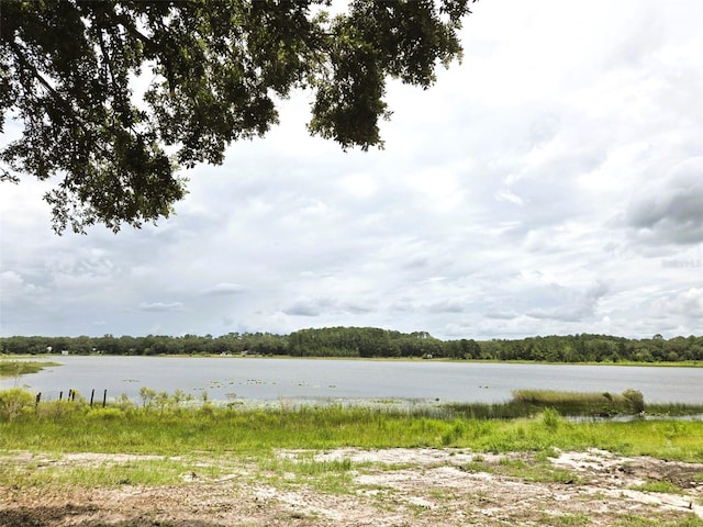 7431 SE 170th Avenue Rd, Ocklawaha, FL 32179 - photo 39