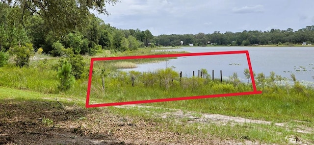 7431 SE 170th Avenue Rd, Ocklawaha, FL 32179 - photo 40