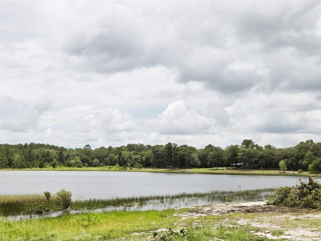 7431 SE 170th Avenue Rd, Ocklawaha, FL 32179 - photo 42
