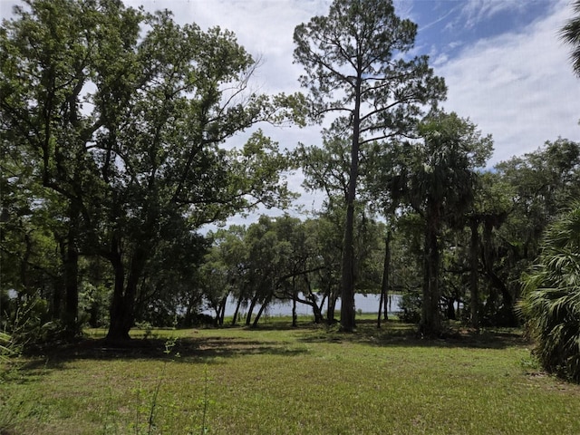 7431 SE 170th Avenue Rd, Ocklawaha, FL 32179 - photo 43