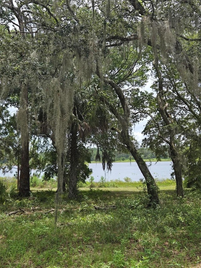 7431 SE 170th Avenue Rd, Ocklawaha, FL 32179 - photo 44