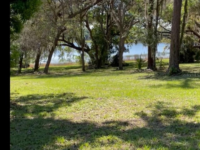 7431 SE 170th Avenue Rd, Ocklawaha, FL 32179 - photo 45