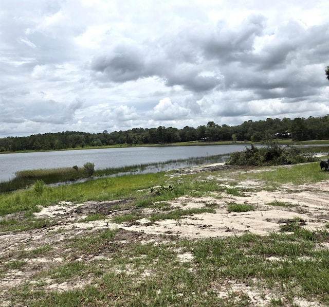 7431 SE 170th Avenue Rd, Ocklawaha, FL 32179 - photo 47