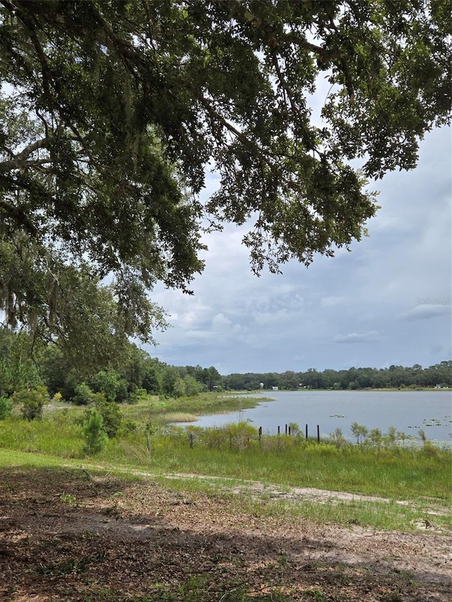 7431 SE 170th Avenue Rd, Ocklawaha, FL 32179 - photo 48